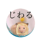 くまむぎのぶりん（個別スタンプ：5）