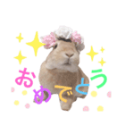 もちもちももちゃん（個別スタンプ：3）