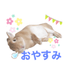 もちもちももちゃん（個別スタンプ：7）