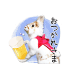 まろん＆しょこらのスタンプ（個別スタンプ：2）