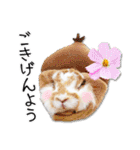 まろん＆しょこらのスタンプ（個別スタンプ：6）