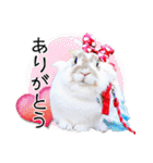 まろん＆しょこらのスタンプ（個別スタンプ：10）