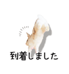 まろん＆しょこらのスタンプ（個別スタンプ：16）