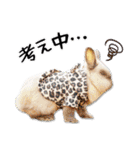 まろん＆しょこらのスタンプ（個別スタンプ：20）
