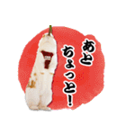 まろん＆しょこらのスタンプ（個別スタンプ：30）