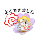 まろん＆しょこらのスタンプ（個別スタンプ：33）