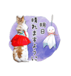 まろん＆しょこらのスタンプ（個別スタンプ：35）