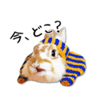 まろん＆しょこらのスタンプ（個別スタンプ：36）
