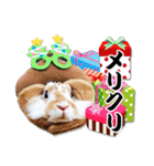 まろん＆しょこらのスタンプ（個別スタンプ：38）