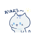 まろまゆのしろいねこ（個別スタンプ：7）