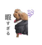なまえはくう。（個別スタンプ：4）