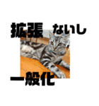 アメショ 特許関係用語 ねこ（個別スタンプ：16）