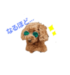 モコかわ（個別スタンプ：5）