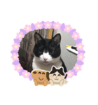 小太郎にゃん（個別スタンプ：2）