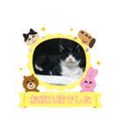 小太郎にゃん（個別スタンプ：6）