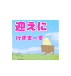 デカ文字インコ（個別スタンプ：4）