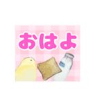 デカ文字インコ（個別スタンプ：8）