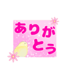 デカ文字インコ（個別スタンプ：13）