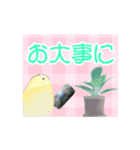 デカ文字インコ（個別スタンプ：15）