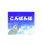 デカ文字インコ（個別スタンプ：19）