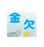 デカ文字インコ（個別スタンプ：21）