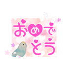 デカ文字インコ（個別スタンプ：31）