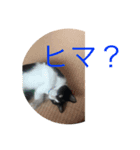 風太郎③（個別スタンプ：2）