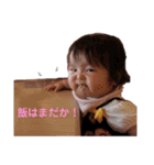 まいにちもねさん（個別スタンプ：6）
