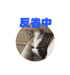 ぽん太と過ごす日常①（個別スタンプ：8）