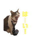 ぽん太と過ごす日常①（個別スタンプ：21）