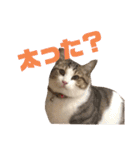 ぽん太と過ごす日常①（個別スタンプ：25）