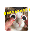 ぽん太と過ごす日常①（個別スタンプ：26）