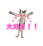 ぽん太と過ごす日常①（個別スタンプ：29）