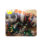 ぽん太と過ごす日常①（個別スタンプ：31）