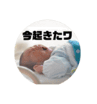 暖☆其の参（個別スタンプ：6）