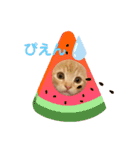 マンチカン子猫ゆずの癒しスタンプ（個別スタンプ：8）