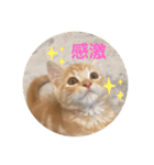 マンチカン子猫ゆずの癒しスタンプ（個別スタンプ：14）