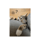 ねこちゃんの日常(ちょっとわんちゃん)（個別スタンプ：3）