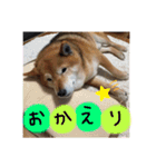 マックススタンプ2（個別スタンプ：11）
