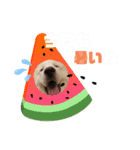 お誘いさだはる（個別スタンプ：3）