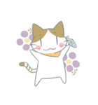 猫ちゃんスタンプ「ミケちゃん」（個別スタンプ：8）