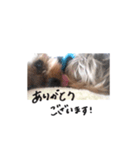 カープくんスタンプ（個別スタンプ：5）