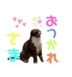 ひこたんとくにゃぼーの日常（個別スタンプ：4）