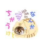 ひこたんとくにゃぼーの日常（個別スタンプ：6）
