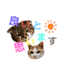 ひこたんとくにゃぼーの日常（個別スタンプ：7）