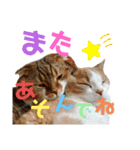 ひこたんとくにゃぼーの日常（個別スタンプ：8）