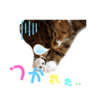 ひこたんとくにゃぼーの日常（個別スタンプ：14）