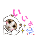 ひこたんとくにゃぼーの日常（個別スタンプ：15）