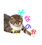 ひこたんとくにゃぼーの日常（個別スタンプ：20）