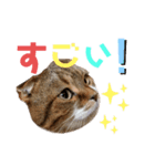 ひこたんとくにゃぼーの日常（個別スタンプ：24）